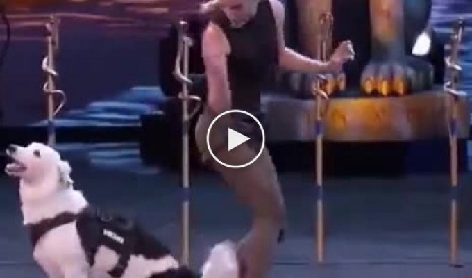 Девушка надрессировала собак, которые выступили на шоу талантов