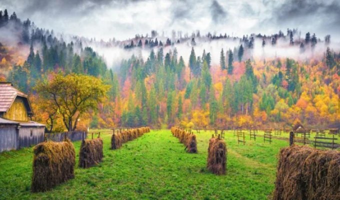 20 Photos That Show the Breathtaking Beauty of Autumn (21 photos)