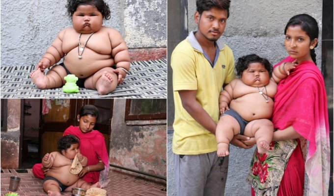 8-месячная девочка весит 17 килограмм, и продолжает толстеть (15 фото)