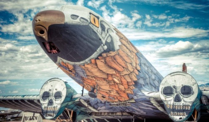 Проект Boneyard – уличные художники расписали граффити списанные военные самолеты (16 фото)