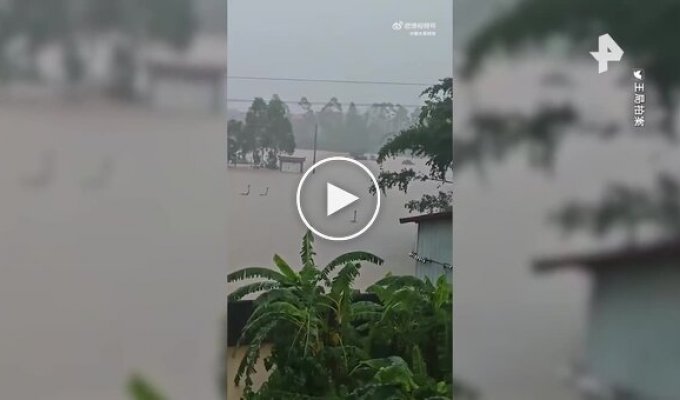 Hundreds of snakes escaped from a farm In China, flooding has disrupted the operation.