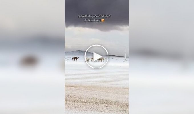 В пустыне Саудовской Аравии выпал снег
