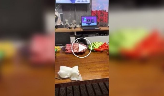 Кот стащил кусок мяса из тарелки