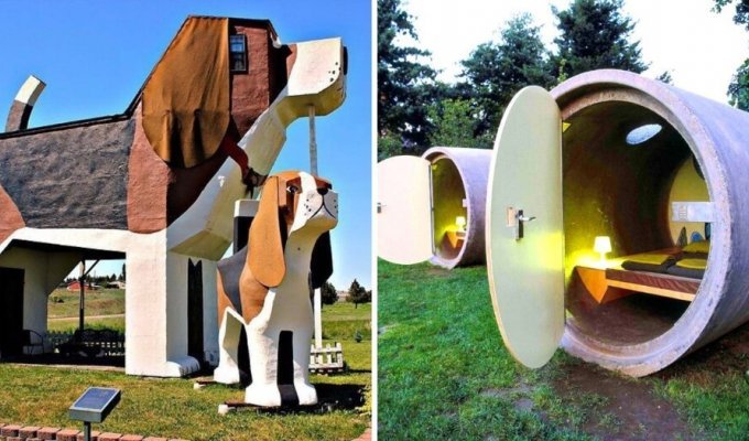 Аквариум наоборот, гигантская собака и домики хоббитов: 10 самых необычных отелей (17 фото)