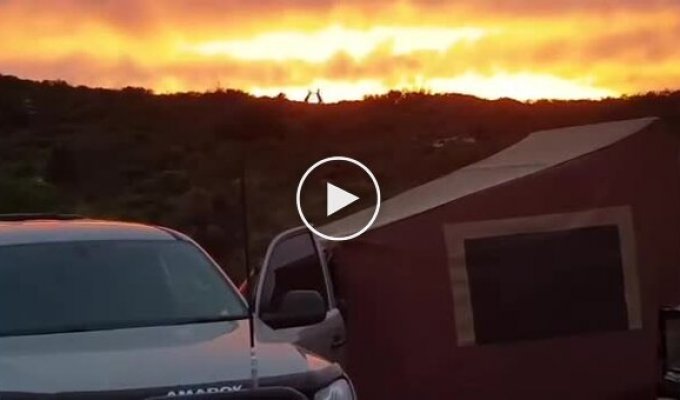 Мужчина случайно заснял дерущихся кенгуру на фоне огненного заката