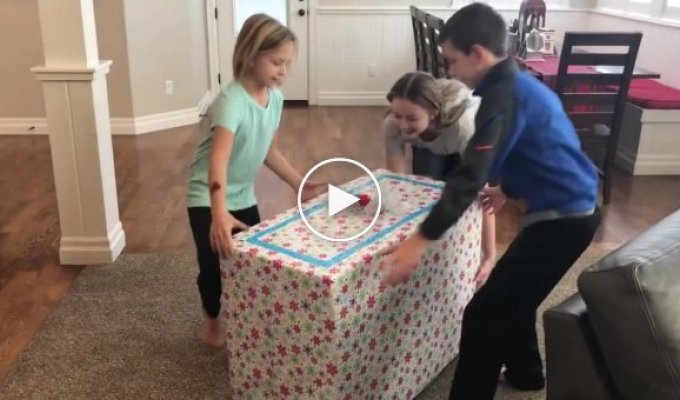 Touching reaction of children who received a puppy as a gift