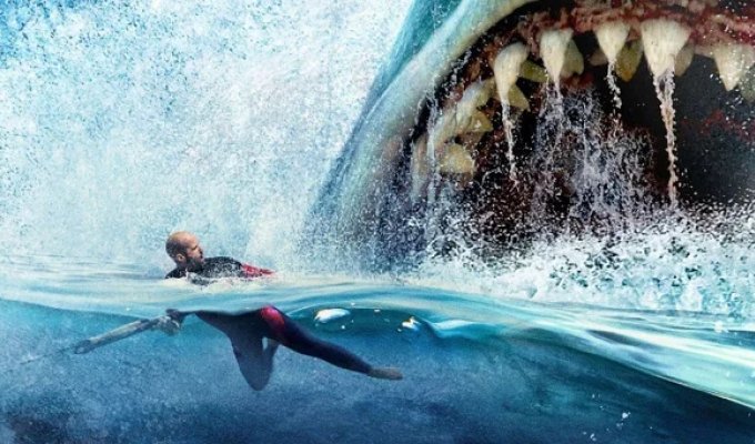 Несколько малоизвестных фактов о мегалодонах (13 фото)