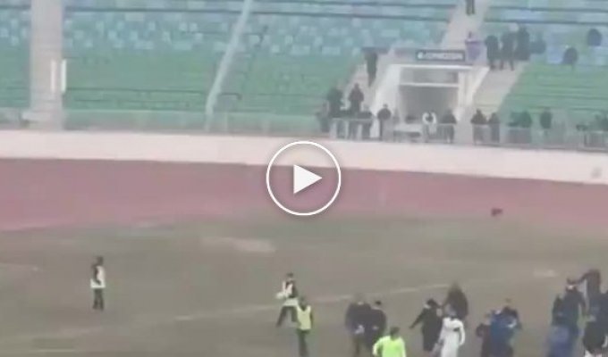 В Узбекистане футбольный матч закончился избиением арбитров