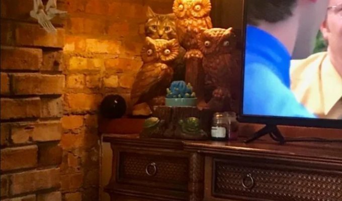 17 Photos Where Something Very Strange Is Going On (18 Photos)