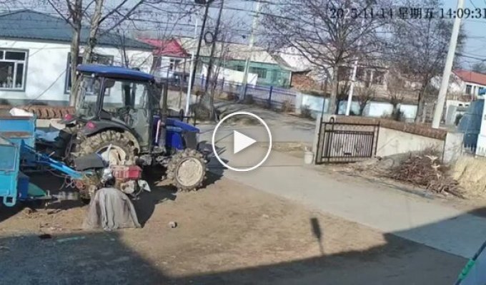 Кабан врезался в мотороллер