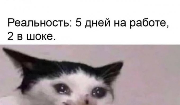 Лучшие шутки и мемы из Сети. Выпуск 693 (171 картинок)