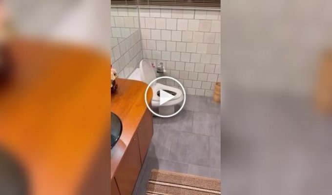 A snake climbed into a toilet in Thailand