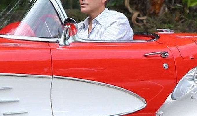 Будни Клуни (6 фото)