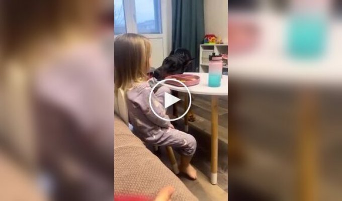 Профессиональный попрошайка за работой