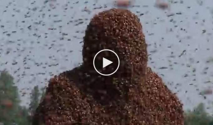 Храбрый китаец установил новый мировой рекорд, посадив на своё тело 637 тысяч пчел