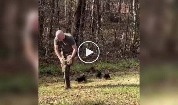 American police puppies have their first day at work