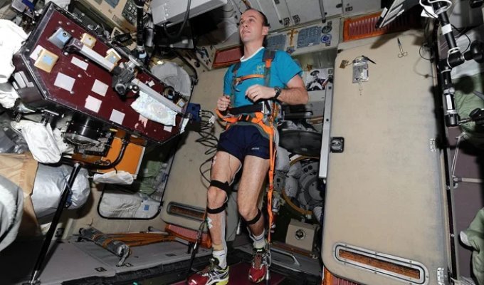 There Are No Traumatologists in Space What happens when something breaks—not in the system, but in the human body (12 photos)