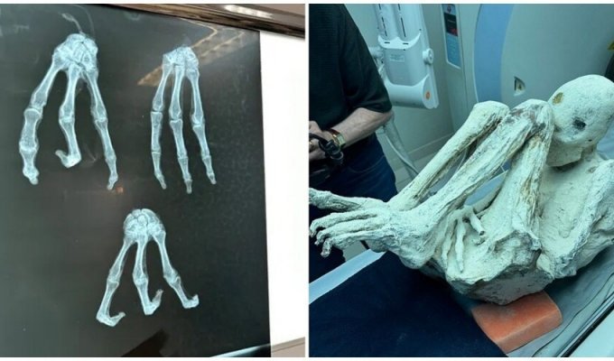 Обнаружены две новые эксклюзивные мумии "инопланетян" из Перу (12 фото)