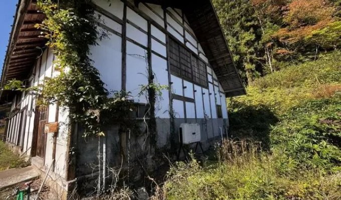 In Japan, a house with a plot and blooming sakura has been put up for sale for only 3 thousand dollars (4 photos)