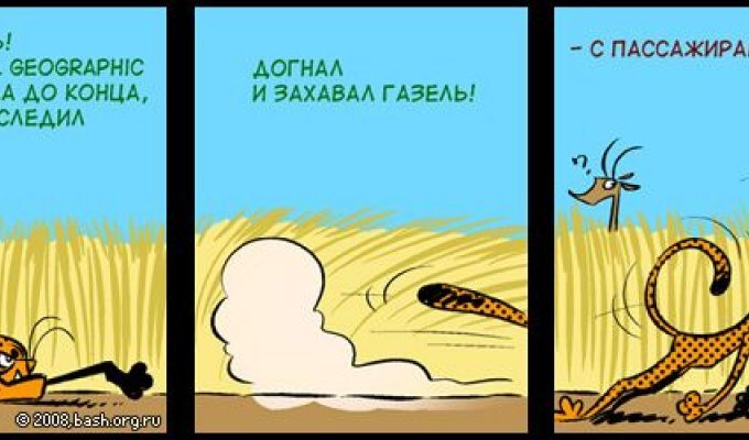  Подборка лучших комиксов с Bash.org.ru (117 картинок)