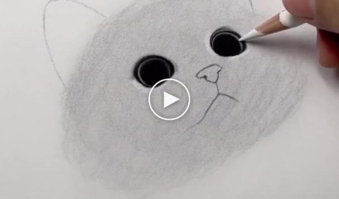 Необычный способ нарисовать кота