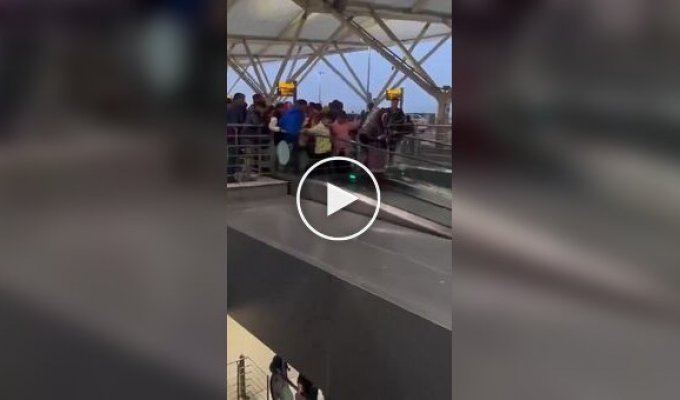 Первые попытки мигрантов освоить эскалатор в Ирландии