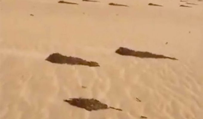 Мужчина из Саудовской Аравии наткнулся в пустыне на странные черные пятна (2 фото + видео)