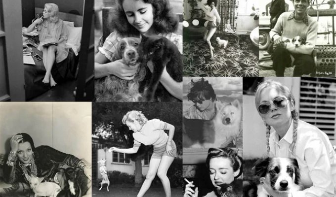 Celebrities with Their Four-Legged Pets (16 photos)