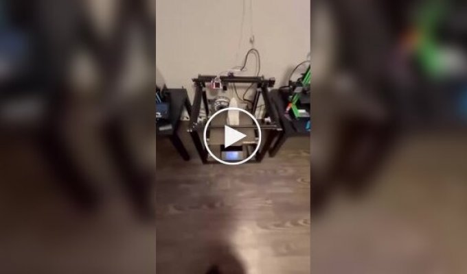 Инженер напечатал на 3D-принтере насадку на пылесос в виде капибары с открытым ртом
