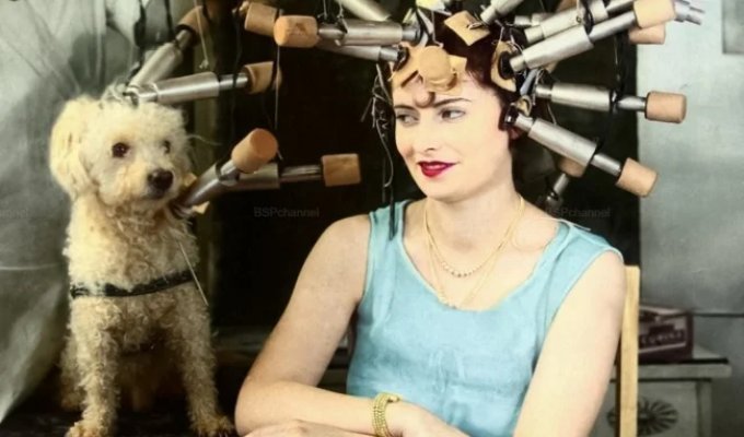 Подборка смешных и забавных фотографий с собаками, которые поднимут настроение (21 фото)