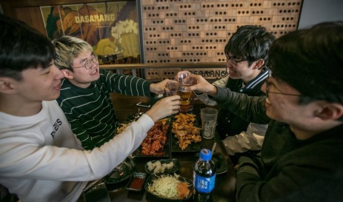 Korean drinking culture (19 photos)
