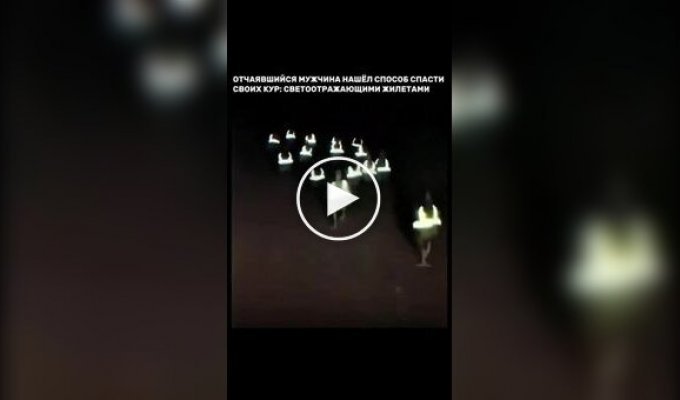 Цыпочки в жилетах вызвали переполох в Испании