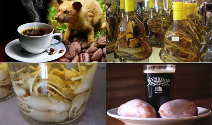 15 самых странных напитков в мире, об ингредиентах которых лучше даже не догадываться (16 фото)