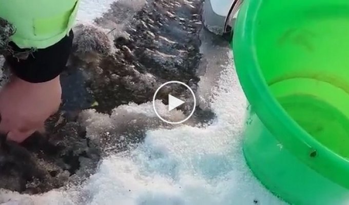 A freezing cat was saved from a painful death (swear words)