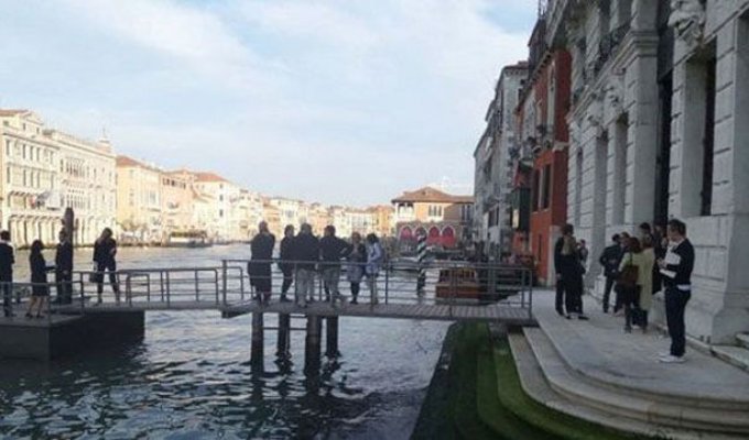 Компания венецианских модников неожиданно искупалась в Гранд-канале (12 фото)