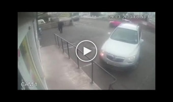 Grandpa decided to surprise his friends with how he knows how to park a car