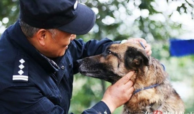 Полицейский-дрессировщик помог собакам сделав им дом (4 фото + 1 видео)