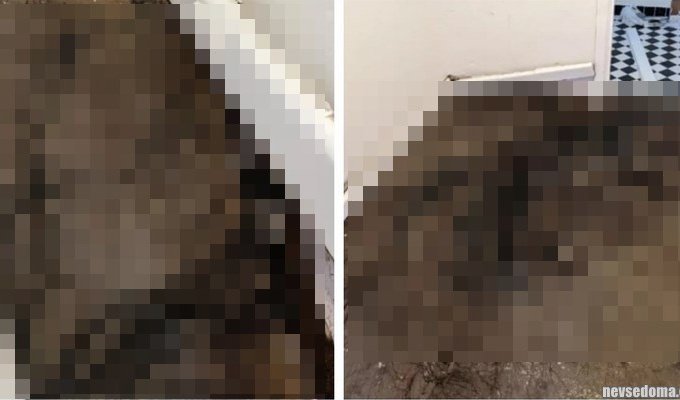 An Australian woman discovered frightening black growths on the floor during renovation (4 photos)