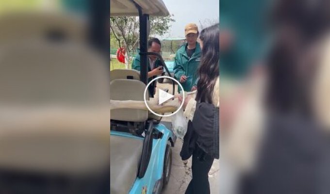 У зоопарку пелікан спробував проковтнути руку жінки