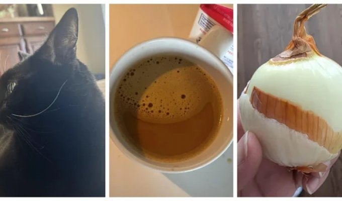 25 manifestations of everyday magic that we usually overlook (26 photos)