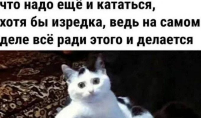 Лучшие шутки и мемы из Сети. Выпуск 721 (38 картинок)