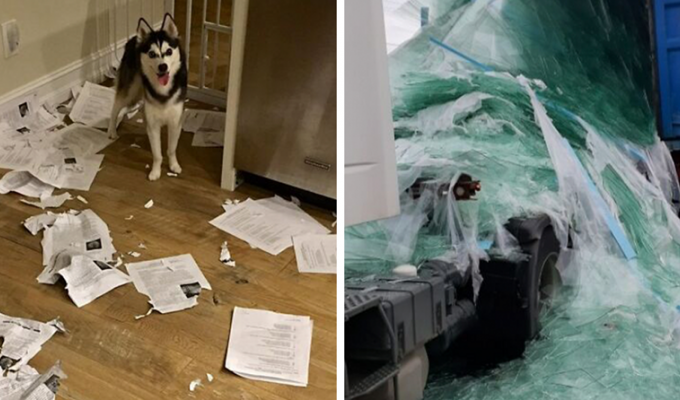 Did you think you were having a bad day?: 30 people whose day wasn’t going well (31 photos)