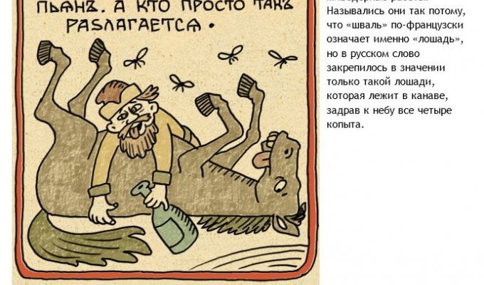 История некоторых ругательств из русского языка (11 фото)