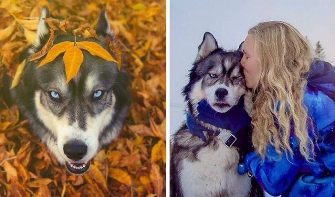Сказочная история собаки и девушки, которые спасли друг друга (27 фото)