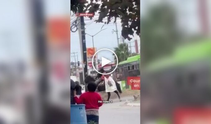 Транспорт подвел: курьер решил доставлять заказ верхом на лошади