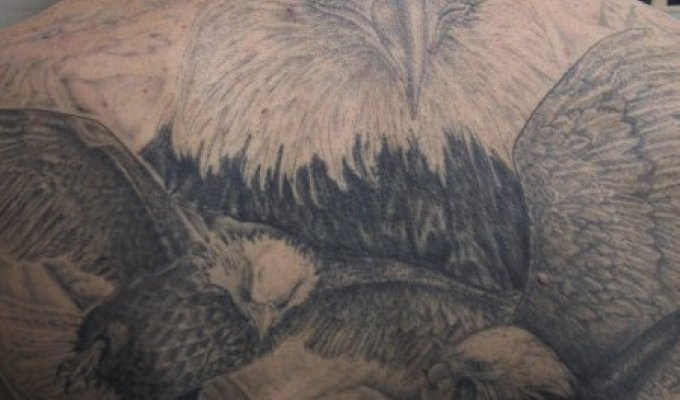 Интересные татуировки (8 фотографий)