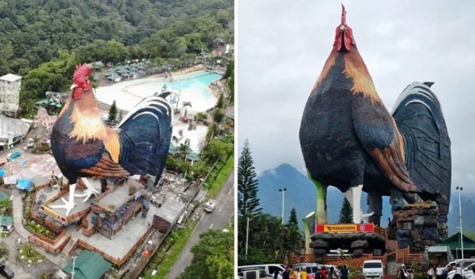 A hotel in the shape of a rooster was built in the Philippines (4 photos + 1 video)