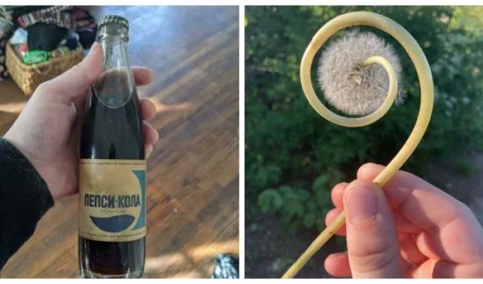 Life is full of surprises! 22 Unexpected Finds That Stirred Up a Lot of Emotions (23 photos)