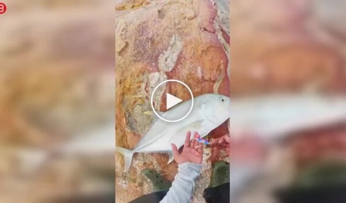 Рыбак хотел отпустить улов, но все пошло не по плану