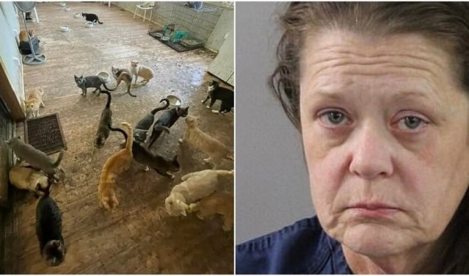 A teacher was arrested in the USA for keeping 309 animals at home (11 photos + 1 video)